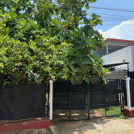 The Lazy Palm Shack Hotel Coimbatore Exterior photo