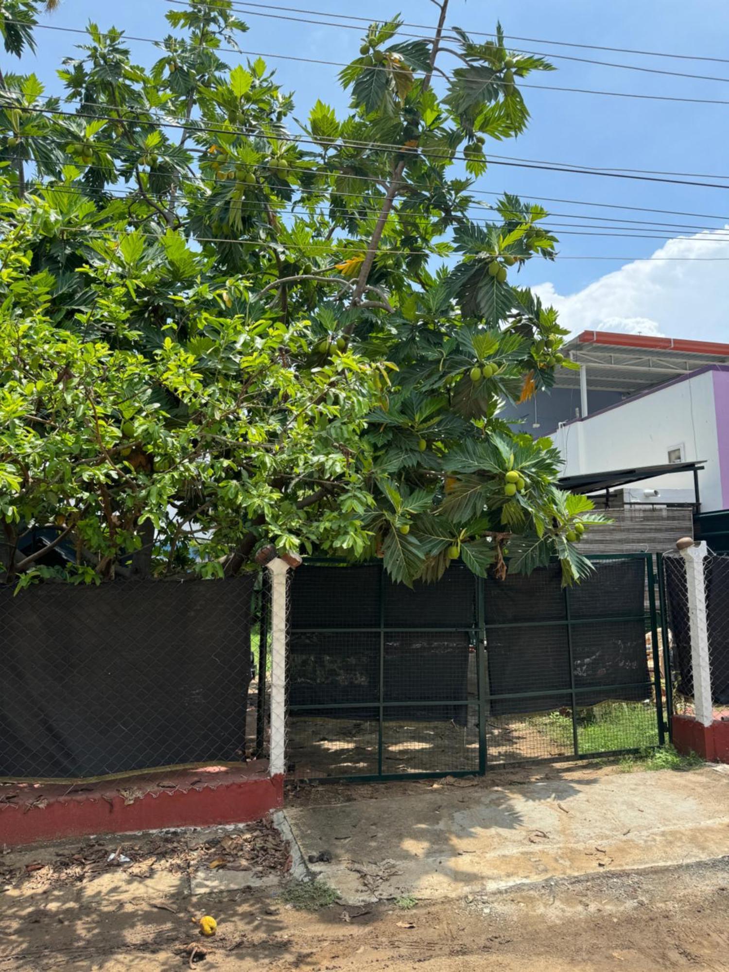 The Lazy Palm Shack Hotel Coimbatore Exterior photo